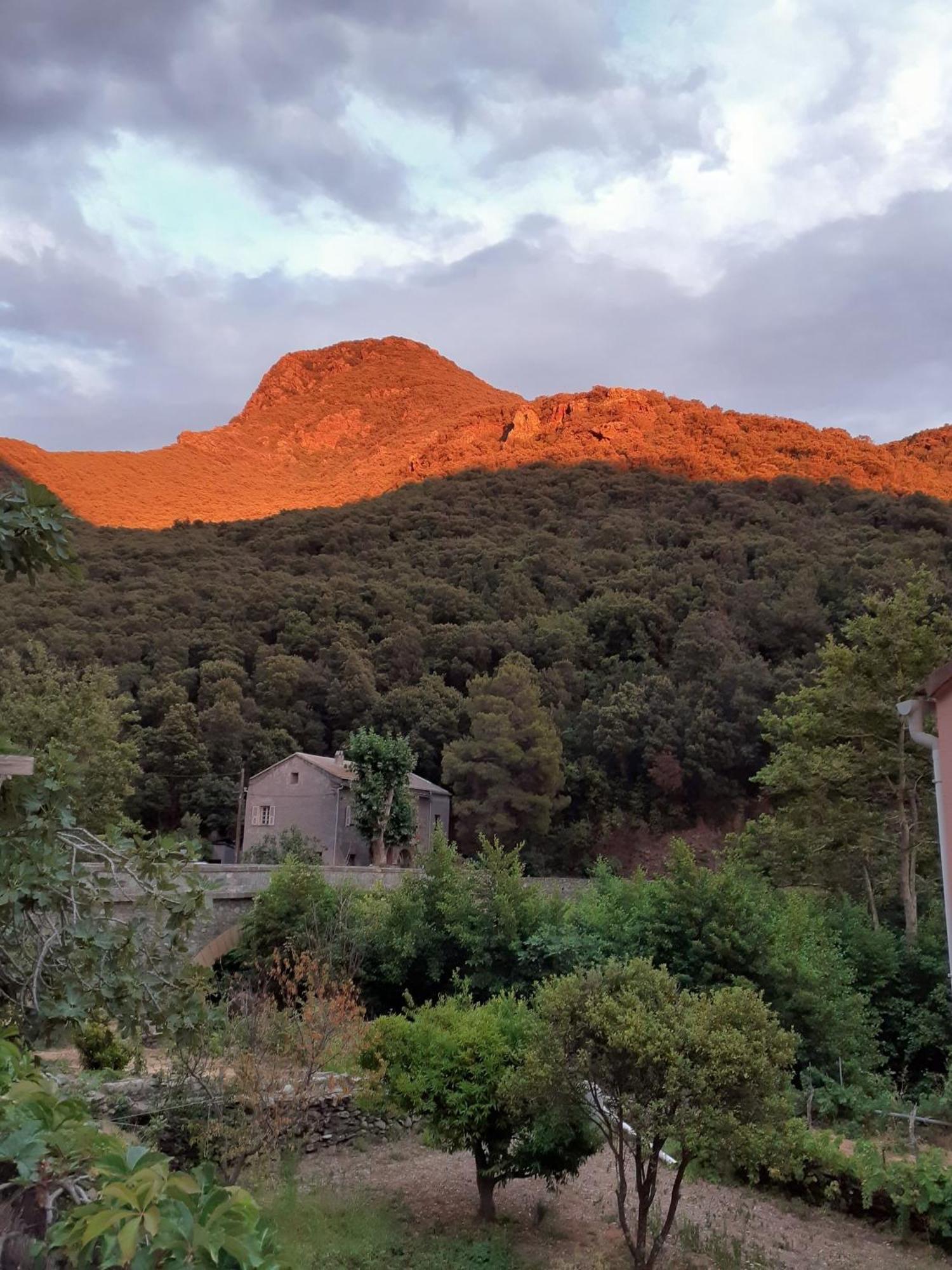 Cap Corse - Maison A 500M De La Plage Grillasca エクステリア 写真